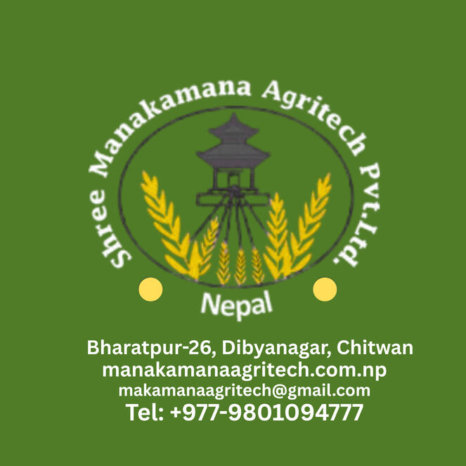 Mount Everest Jewelery